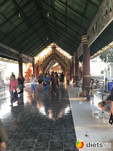 376 ����: ������ 2017. �����