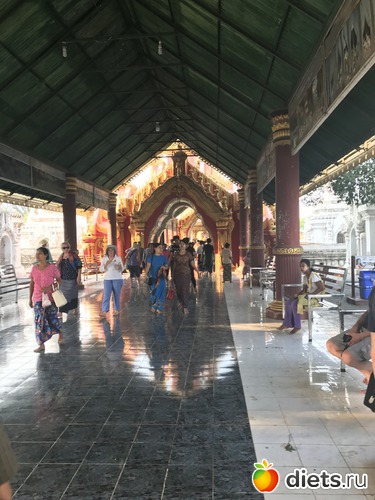 377 ����: ������ 2017. �����