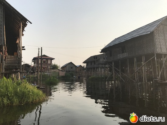 642 ����: ������ 2017. �����