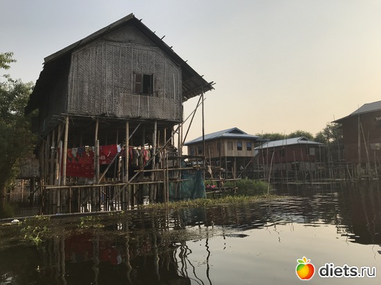 644 ����: ������ 2017. �����