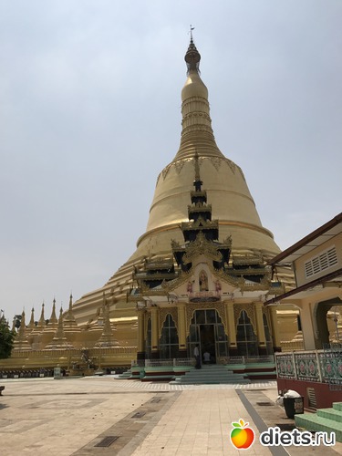 823 ����: ������ 2017. �����