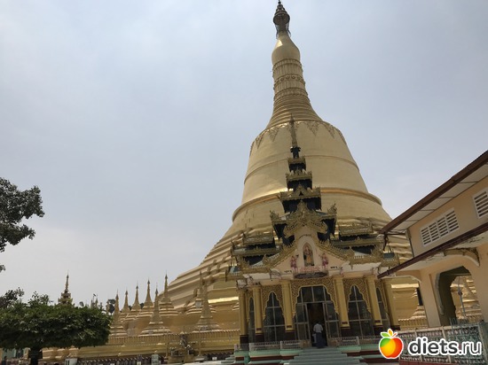 824 ����: ������ 2017. �����