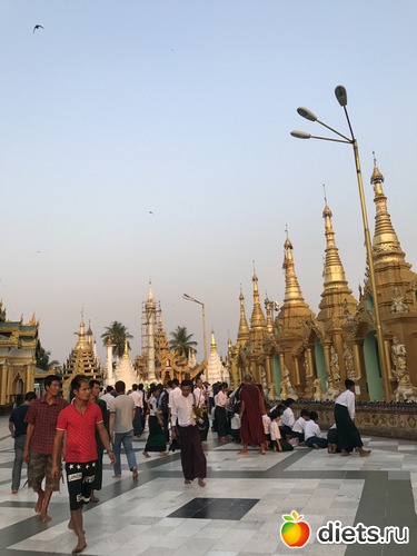 58 ����: ������ 2017. �����