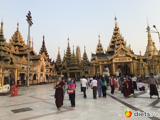 59 ����: ������ 2017. �����