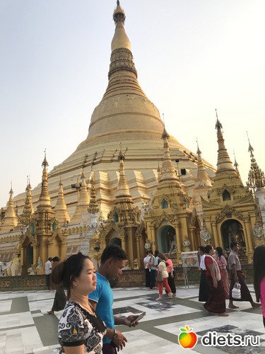 61 ����: ������ 2017. �����