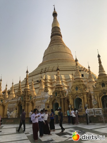 62 ����: ������ 2017. �����