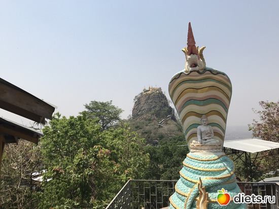 202 ����: ������ 2017. �����