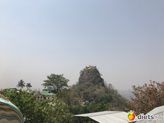 203 ����: ������ 2017. �����