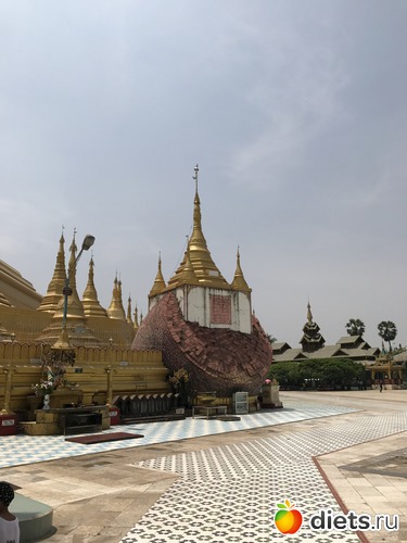 825 ����: ������ 2017. �����