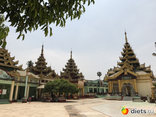 827 ����: ������ 2017. �����