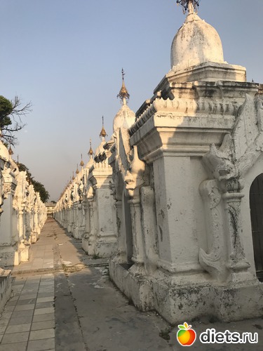 379 ����: ������ 2017. �����