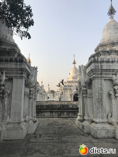 380 ����: ������ 2017. �����