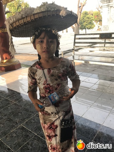 381 ����: ������ 2017. �����