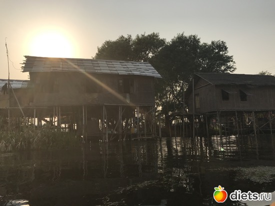 645 ����: ������ 2017. �����