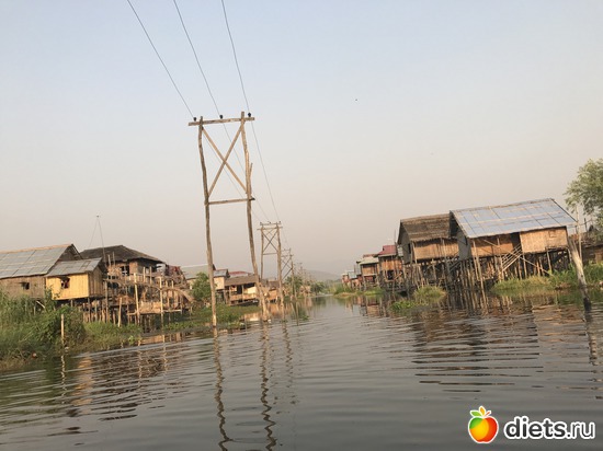 646 ����: ������ 2017. �����