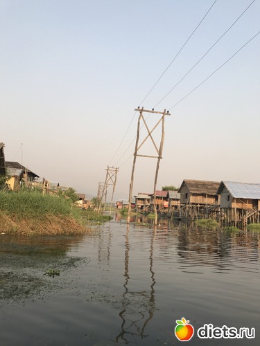 647 ����: ������ 2017. �����