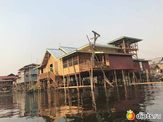 648 ����: ������ 2017. �����