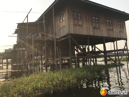 649 ����: ������ 2017. �����