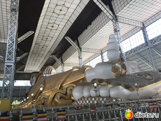 828 ����: ������ 2017. �����