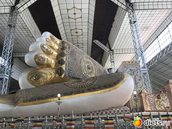 829 ����: ������ 2017. �����