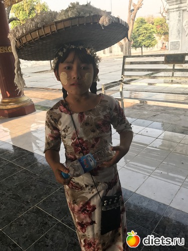 382 ����: ������ 2017. �����