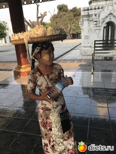 384 ����: ������ 2017. �����