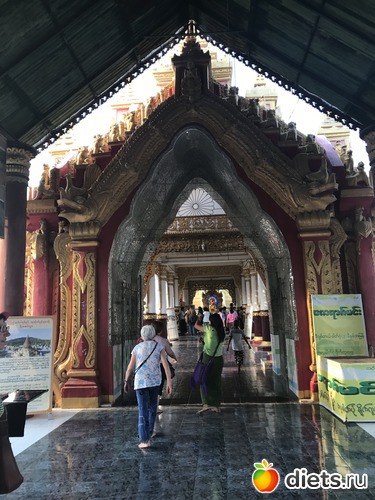 386 ����: ������ 2017. �����