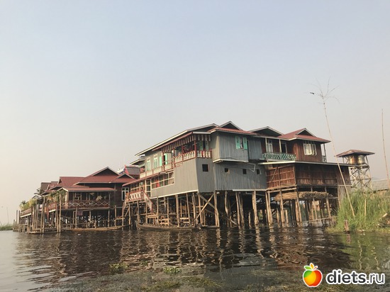 650 ����: ������ 2017. �����