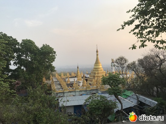 391 ����: ������ 2017. �����