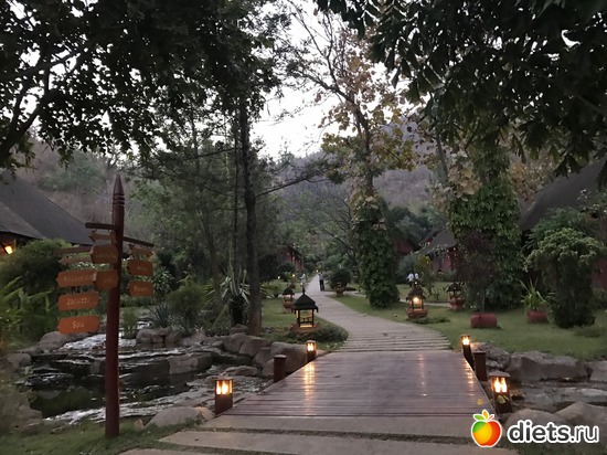 655 ����: ������ 2017. �����