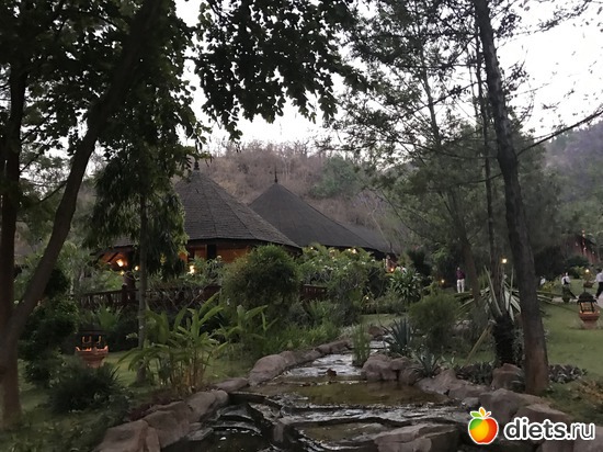 656 ����: ������ 2017. �����