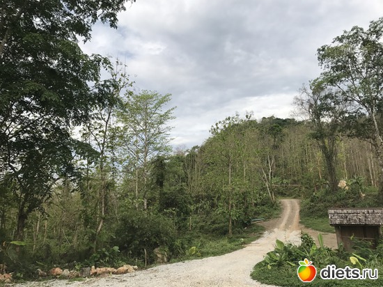 839 ����: ������ 2017. �����