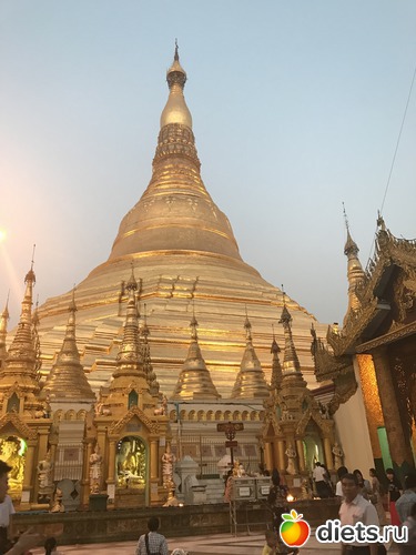 65 ����: ������ 2017. �����