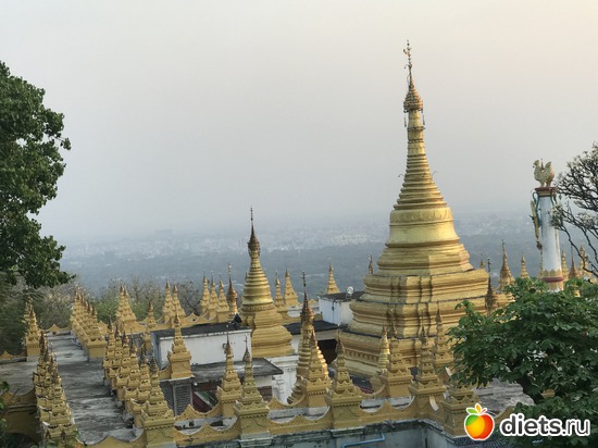 392 ����: ������ 2017. �����