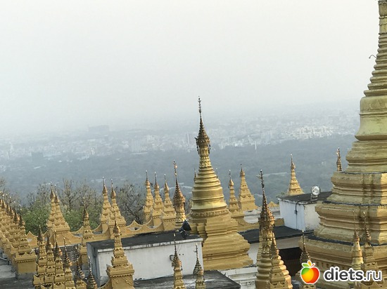 393 ����: ������ 2017. �����