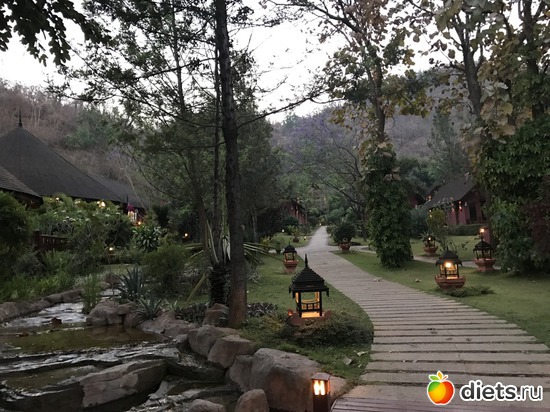 658 ����: ������ 2017. �����