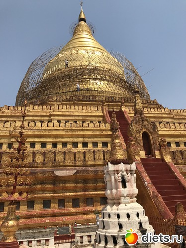 67 ����: ������ 2017. �����