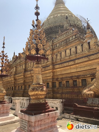 71 ����: ������ 2017. �����