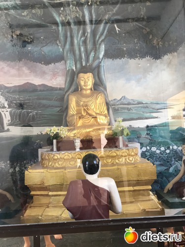 73 ����: ������ 2017. �����