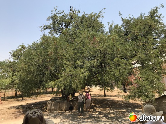 74 ����: ������ 2017. �����