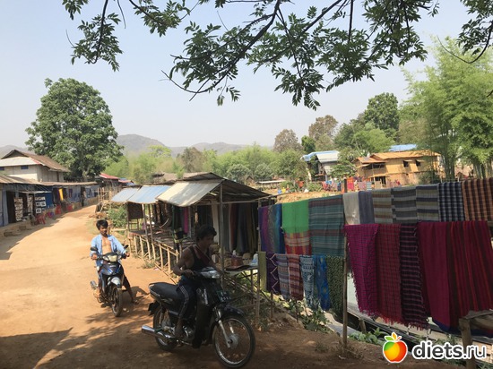 665 ����: ������ 2017. �����