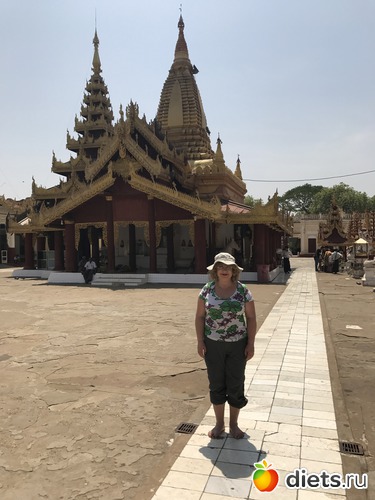 78 ����: ������ 2017. �����