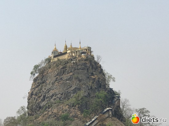 204 ����: ������ 2017. �����