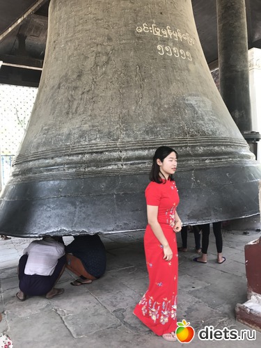 530 ����: ������ 2017. �����