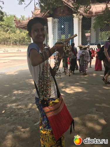 534 ����: ������ 2017. �����