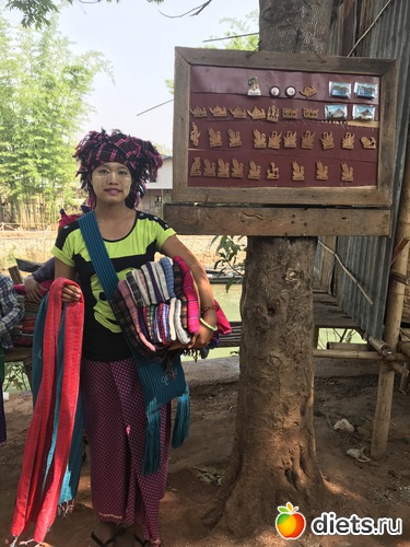 667 ����: ������ 2017. �����