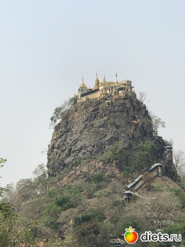 206 ����: ������ 2017. �����