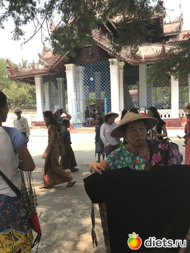 535 ����: ������ 2017. �����