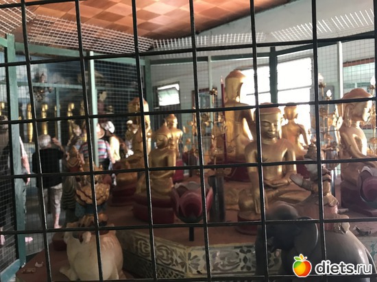 84 ����: ������ 2017. �����