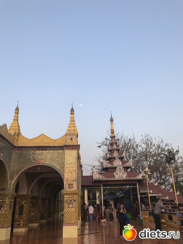 411 ����: ������ 2017. �����